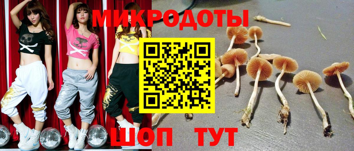 Галлюциногенные грибы Magic Shrooms Сергиев Посад