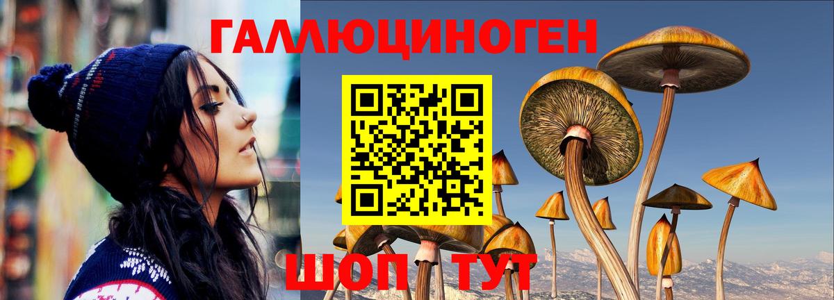 Псилоцибиновые грибы мухоморы  Вход с VPN  Сергиев Посад  Псилоцибиновые грибы ЛСД 